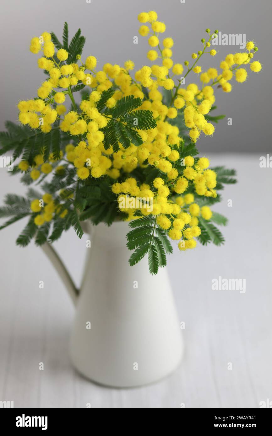 Mimosa in vase hi-res stock photography and images - Alamy
