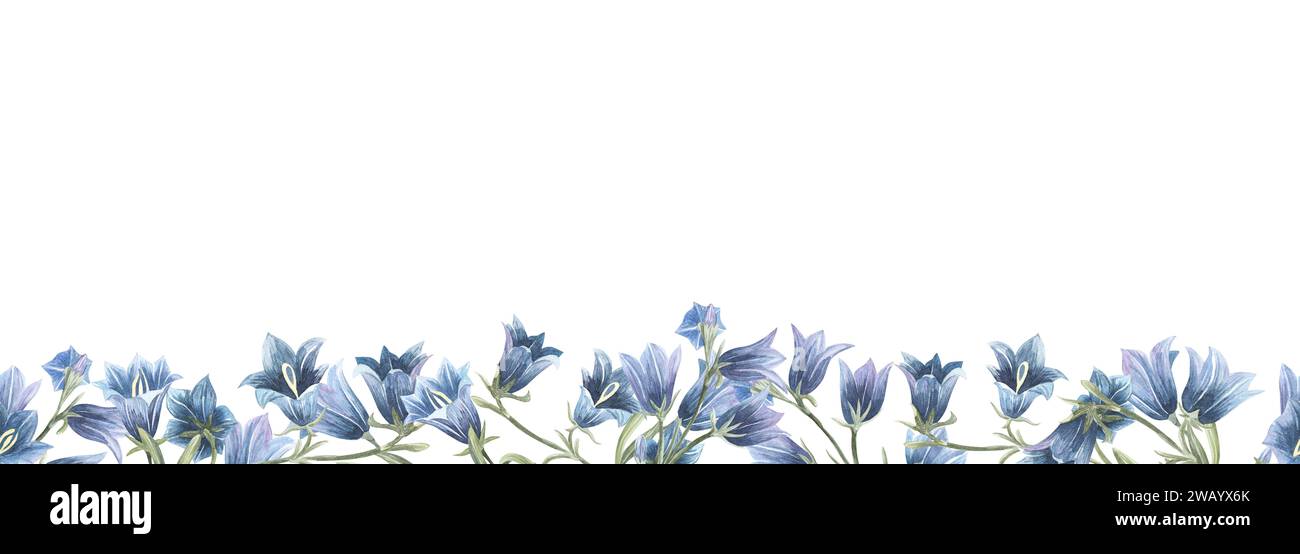 Bluebell flowers seamless border. Hand drawn watercolor illustration. Spring easter vintage pale blue floral border for invitation, label, logo design Stock Photo