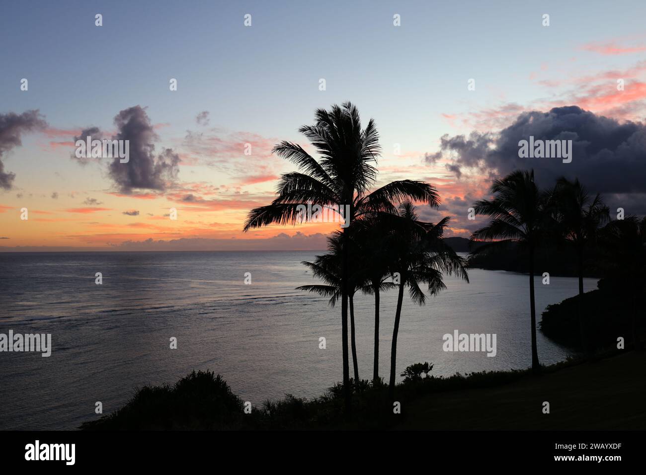 A stunning sunrise over the Pacific Ocean, along the coastline of the North Shore of Kauai, with silhouettes of Palm trees Stock Photo