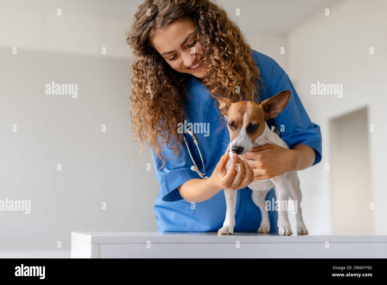 A closer look at Giving Dogs Human Pain Medication Without Vet