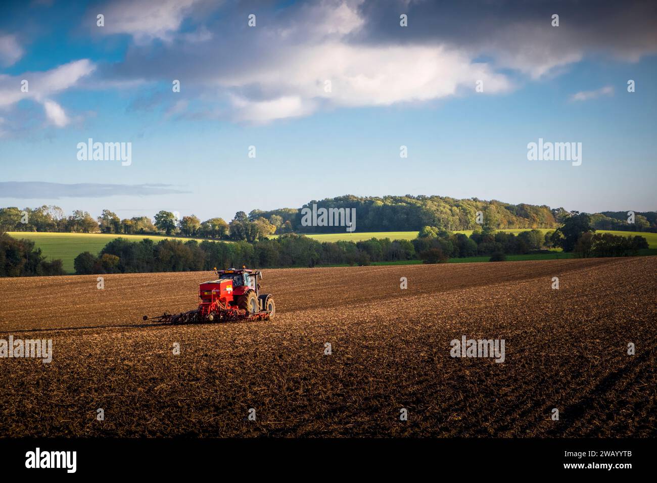 Farming, sowing winter wheat seed.  Hoxne, Suffolk, UK. Stock Photo