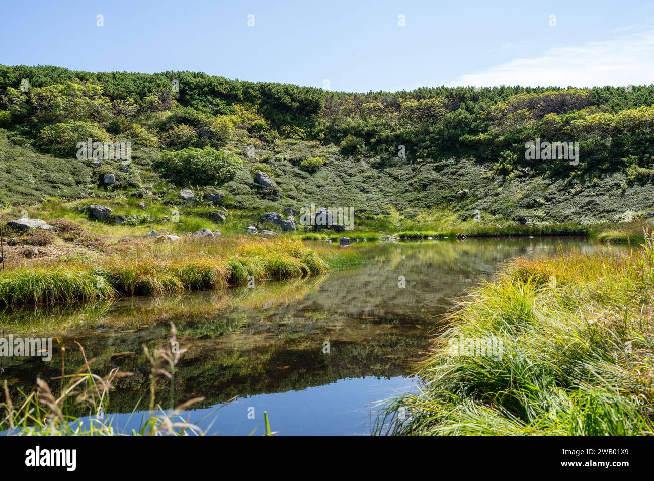 clear ponds above three tree line on mount asahidake Stock Photo - Alamy