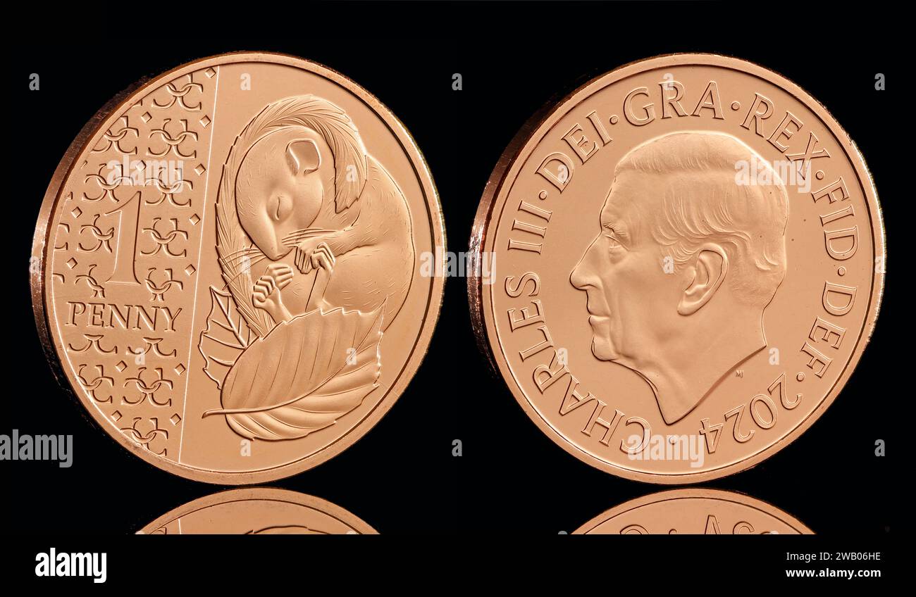 Sleeping Doormouse 1 pence in the 2024 Definitive Annual UK Coin Set