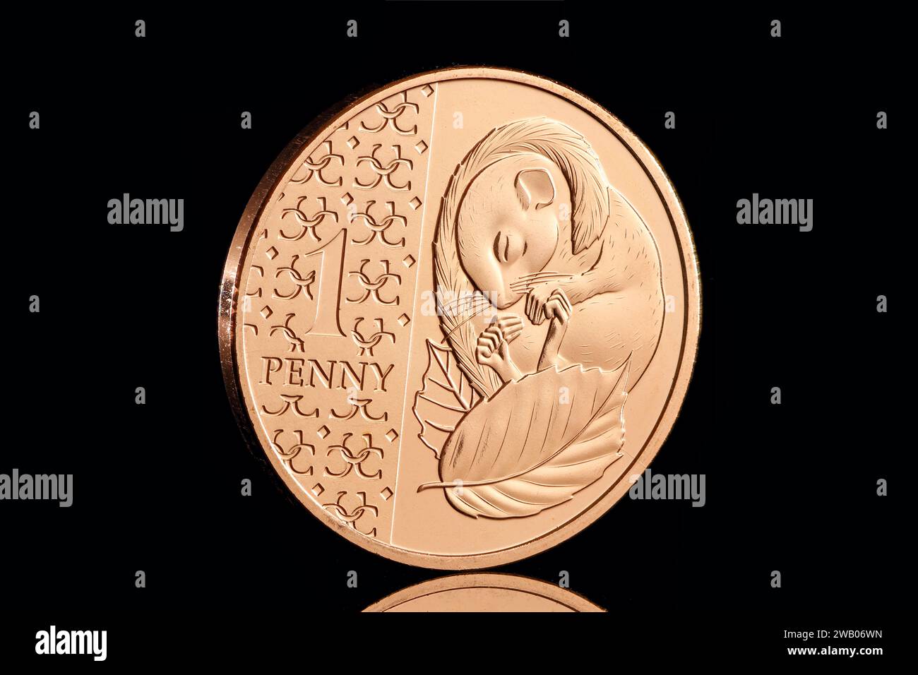 Sleeping Doormouse 1 pence in the 2024 Definitive Annual UK Coin Set featuring the first coin portrait of King Charles III by Martin Jennings Stock Photo