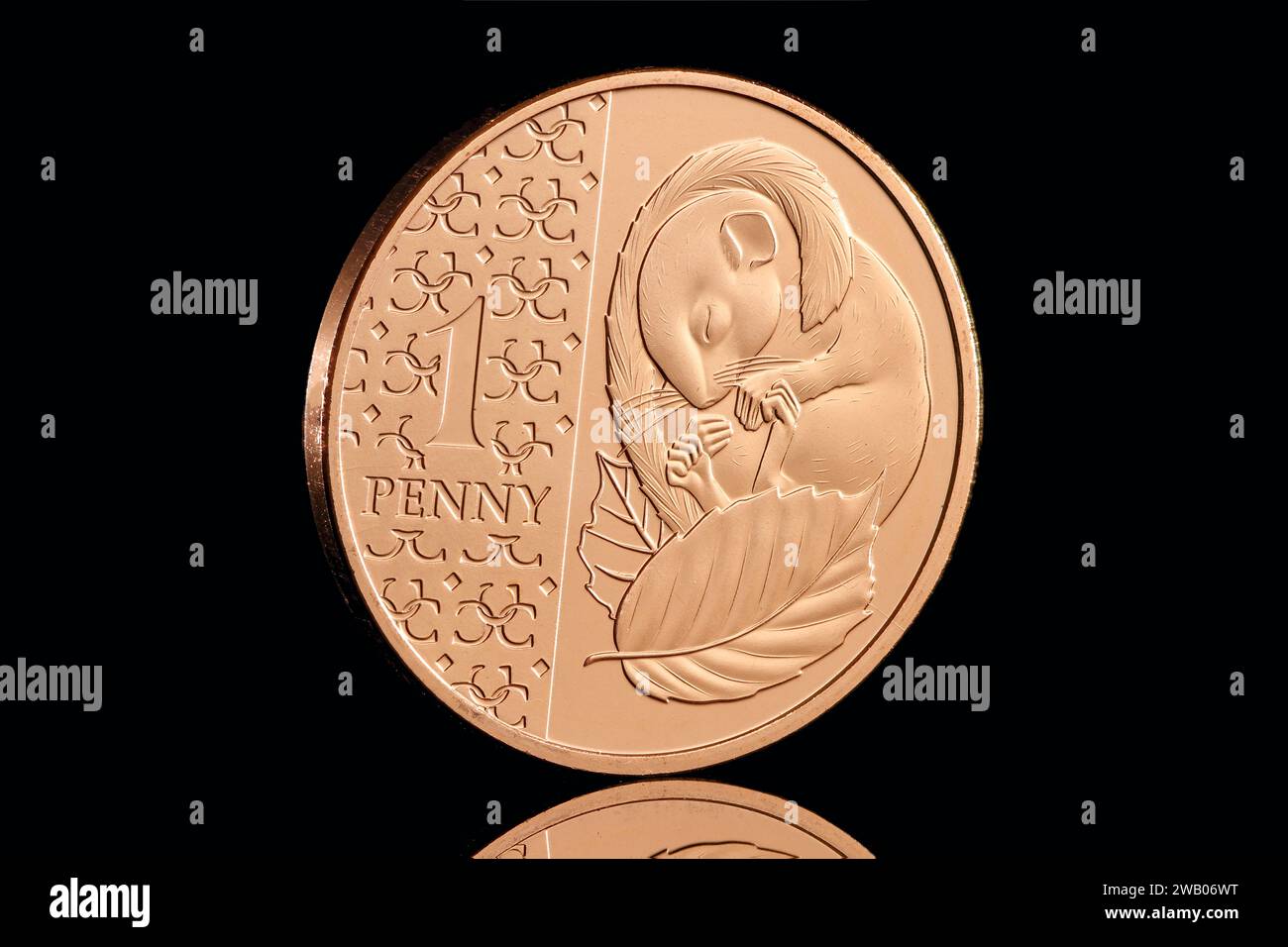 Sleeping Doormouse 1 pence in the 2024 Definitive Annual UK Coin Set featuring the first coin portrait of King Charles III by Martin Jennings Stock Photo