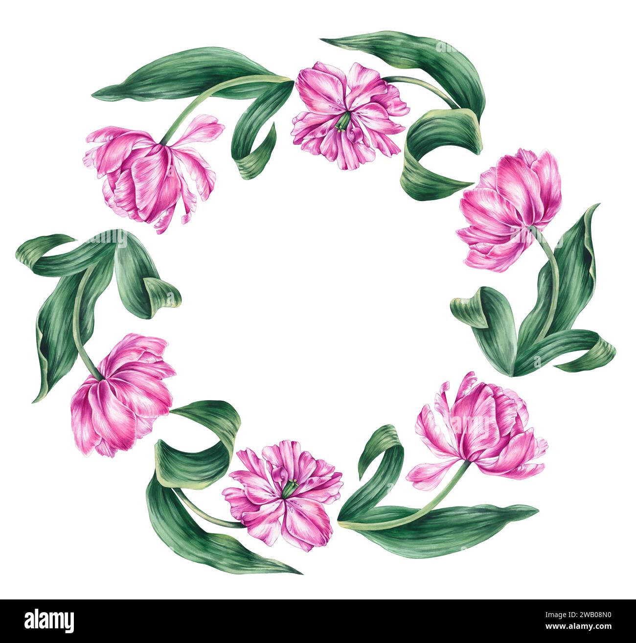 Watercolor pink tulip wreath on a white background. Hand drawn tulips ...