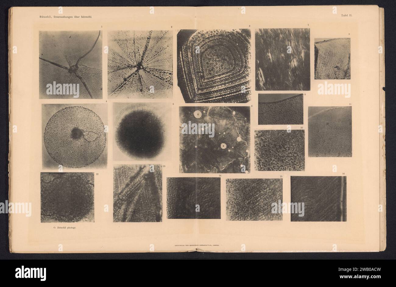 Sixteen microscope recordings of sulfur, Otto Bütschli, c. 1890 in or