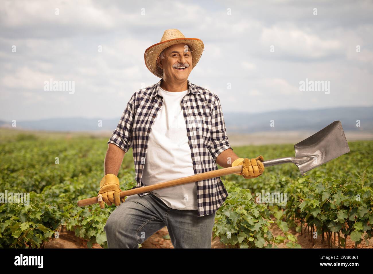Grape farmer with a straw hat holding a shovel on a field Stock Photo
