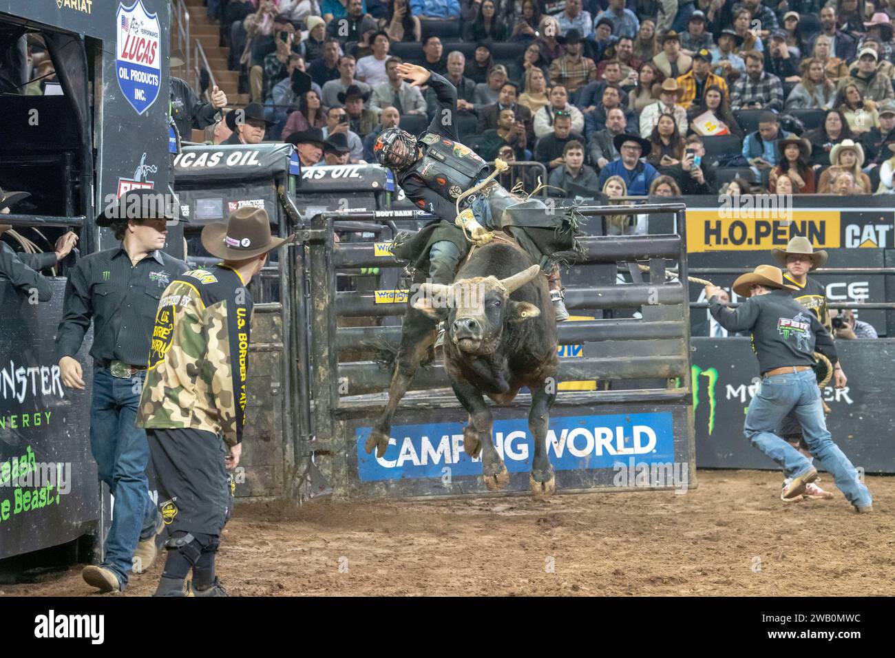 January 6 2024 New York New York United States NEW 2024   January 6 2024 New York New York United States New 2024 Professional Bull Riders At The Garden January 6 2024 New York New York Usa Andrew Alvidrez Rides Pneu Dart39s Chief Wahoo During Second Round Of The Professional Bull Riders 2024 Unleash The Beast Event At Madison Square Garden On January 6 2024 In New York City Credit Image Ron Adarthenews2 Via Zuma Press Wire Editorial Usage Only! Not For Commercial Usage! 2WB0MWC 