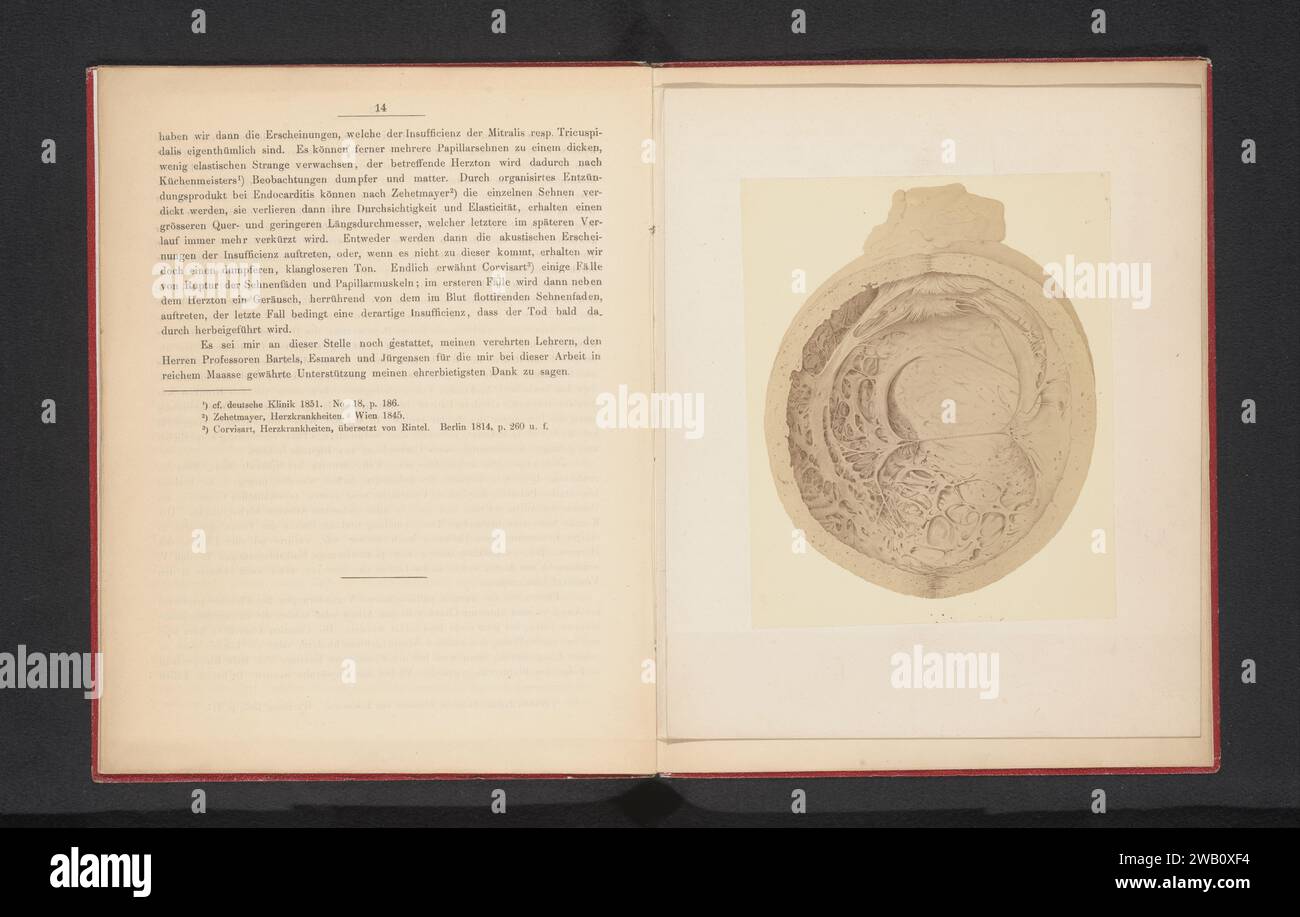Photo production of a drawing, representing a cross -section of a human heart, Schmidt & Wegener, After Anonymous, c. 1865 - in or before 1870 photograph  As photographic support albumen print parts of the heart Stock Photo
