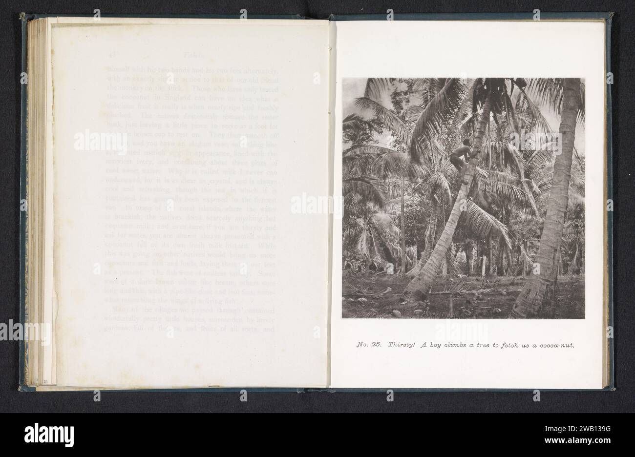 Boy who climbs in a coconut palm on Tahiti, Henry Stuart-Woortley, 1880 photomechanical print  Tahiti paper collotype trees: coconut-tree. climbing up a tree Tahiti Stock Photo