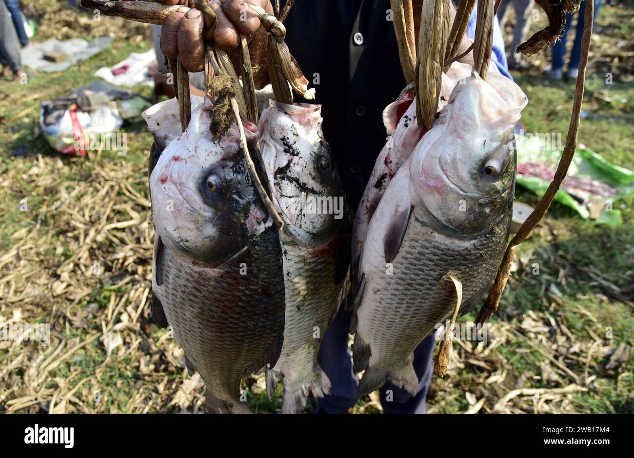 January 7, 2024, Guwahati, Guwahati, India: A man buys fishes at Deeporbeel during annual fishing ahead of the Magh Bihu celebration at outskirt of Guwahati city India on Sunday 7th January 2024. (Credit Image: © Dasarath Deka/ZUMA Press Wire) EDITORIAL USAGE ONLY! Not for Commercial USAGE! Stock Photo