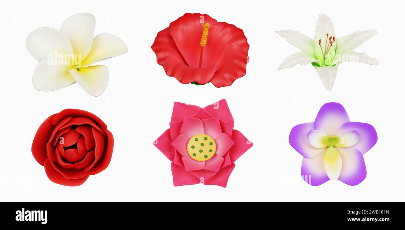 3d colorful flower set. icon isolated on white background. 3d rendering illustration. Clipping path. Stock Photo