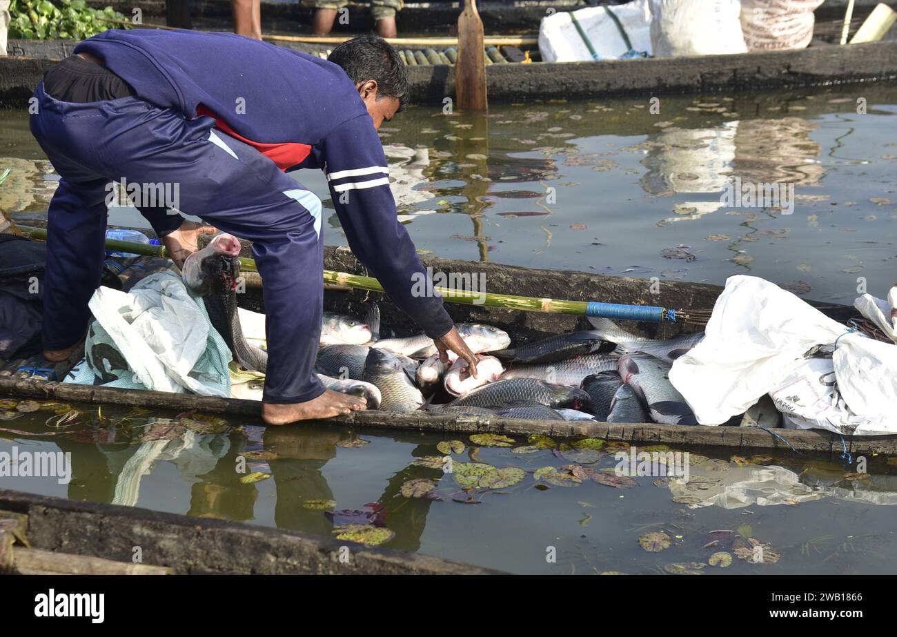 January 7, 2024, Guwahati, Guwahati, India Fishermen sort out fishes in his boat at Deeporbeel