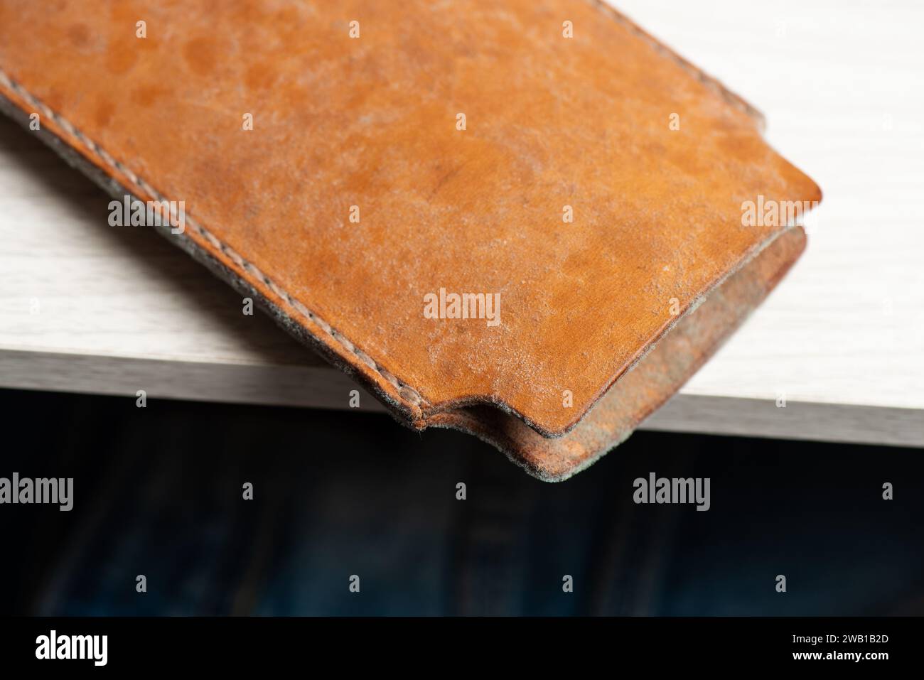 Mould on leather product. Leather care concept. Stock Photo