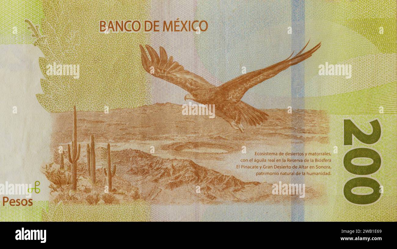 Mexican Money Bills Currency Mexico 200 Pesos Banknote Close Up Rear mexican-money-bills-currency-mexico-200-pesos-banknote-close-up-rear