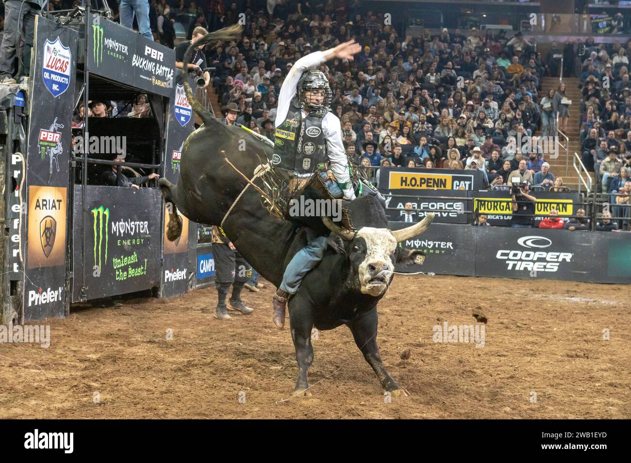 NEW YORK, NEW YORK - JANUARY 06: Dalton Kasel rides Wooderson during ...