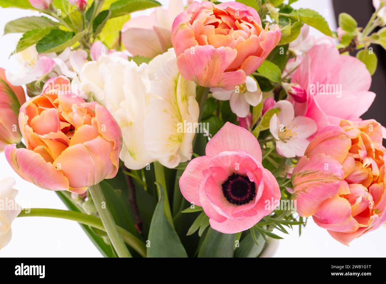 Elegant mixed pastel colored spring bouquet on white background. Spring tulips. Tulips bouquet. Stock Photo