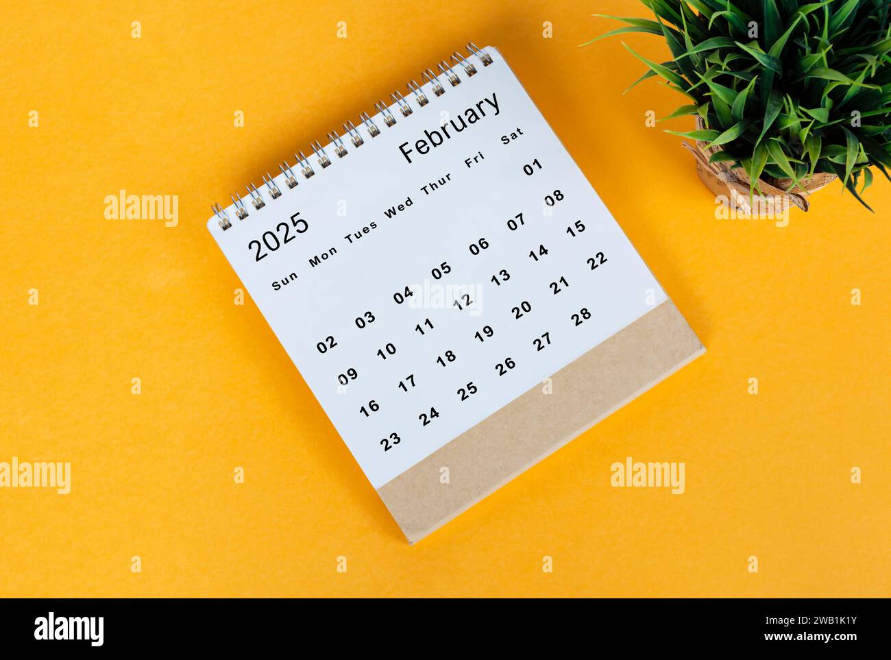 February 2025 desk calendar on yellow background. Directly above. Flat