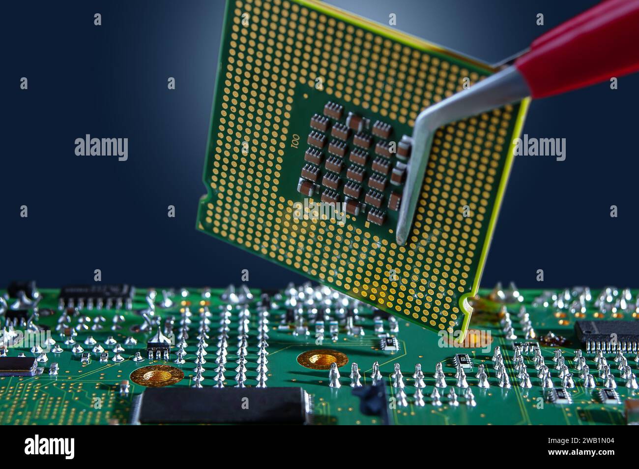 A technician holds a CPU chip in an LGA package with tweezers over an electronic circuit board. Stock Photo