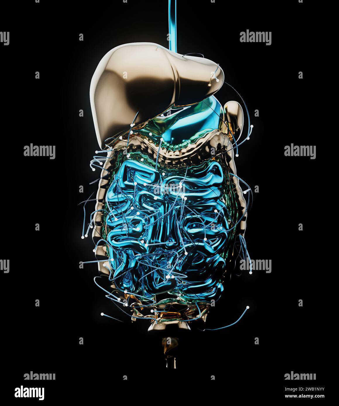 Abstract 3D view of the gut physiology Stock Photo - Alamy