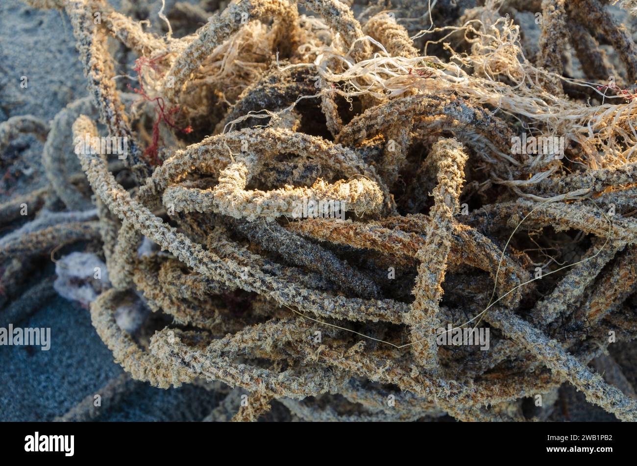 Old rope washed up contaminating Ballywalter beach Stock Photo