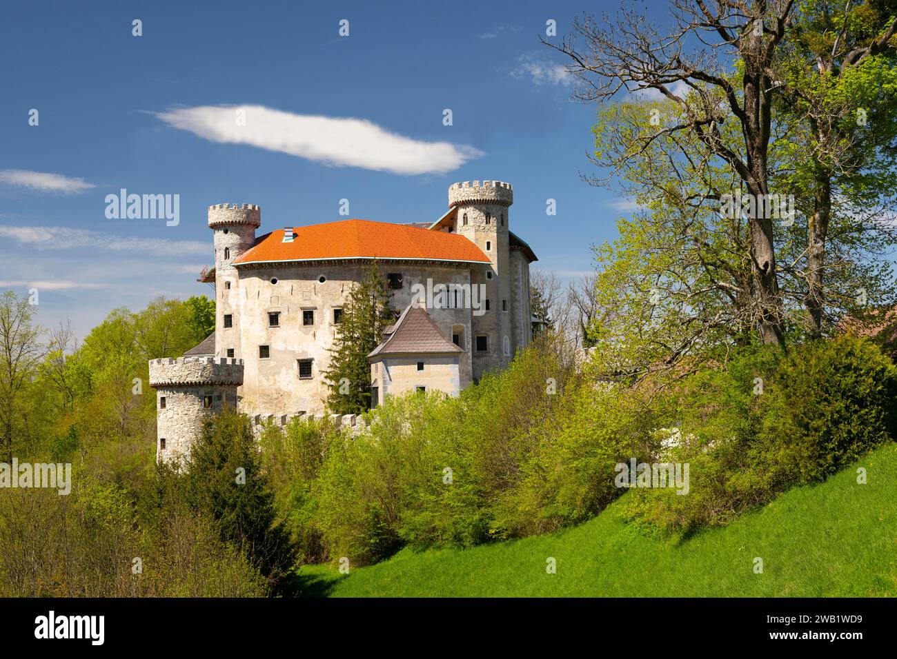 Plankenstein Castle, Texing, Lower Austria Stock Photo