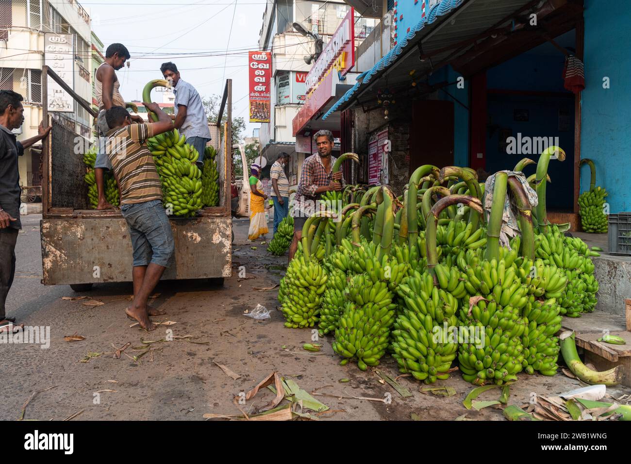 Banana bunches being loaded, banana trader, Pondicherry or Puducherry, Tamil Nadu, India Stock Photo