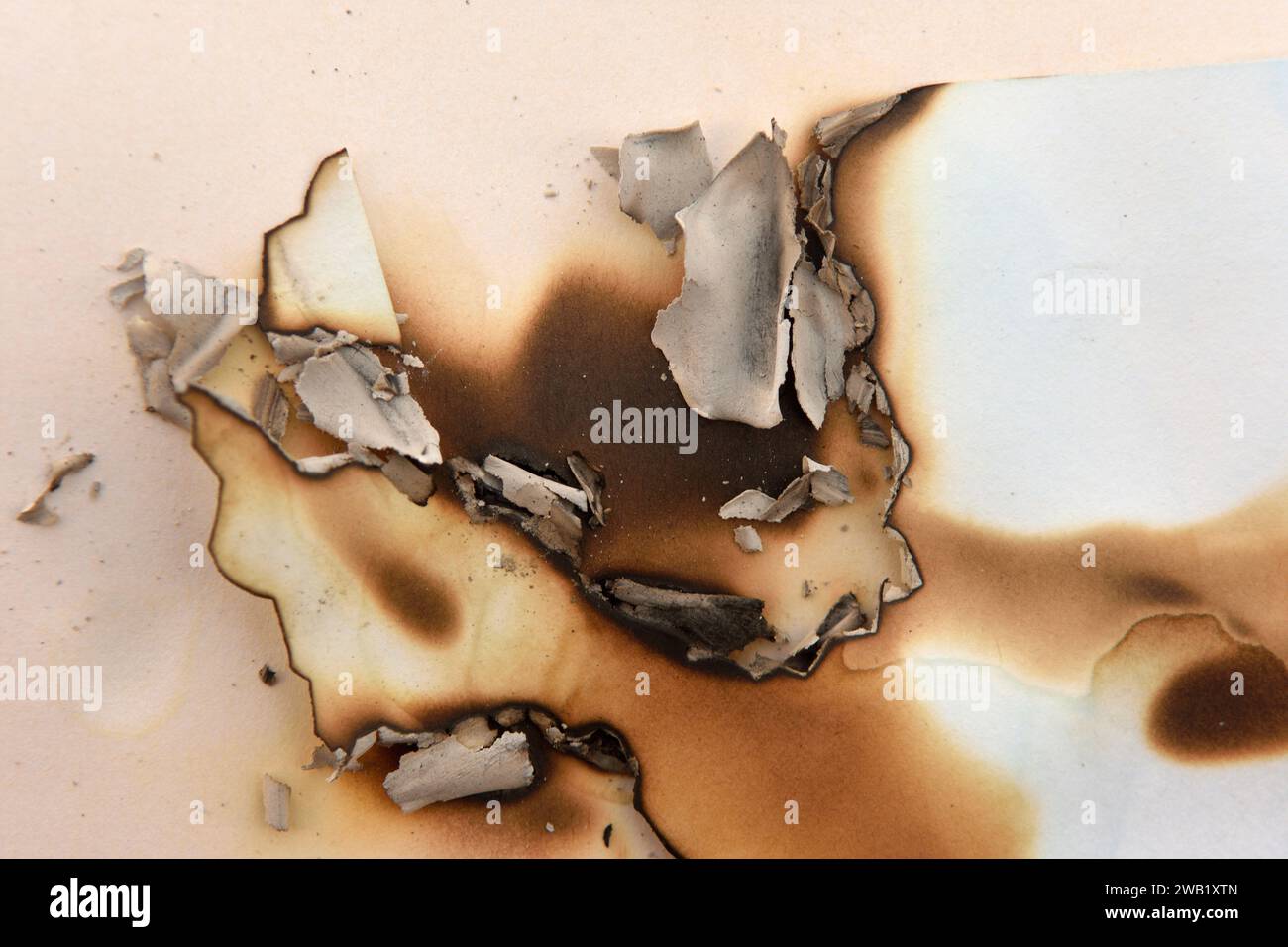 white burnt paper with crem background Stock Photo