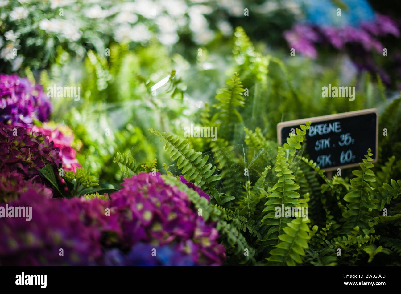 Blossoms Abound: Flowers in the Open Market Stock Photo