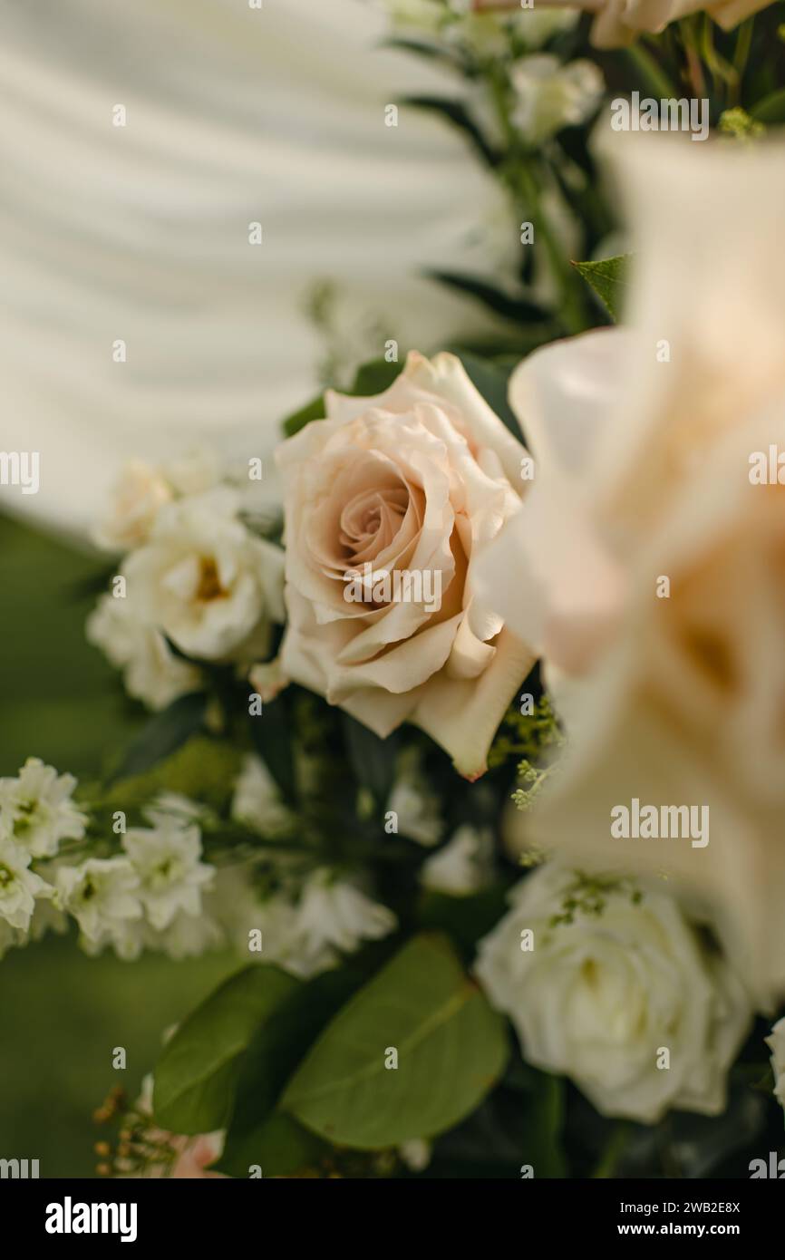 Close up of beautiful light pink rose in a floral arrangement Stock Photo