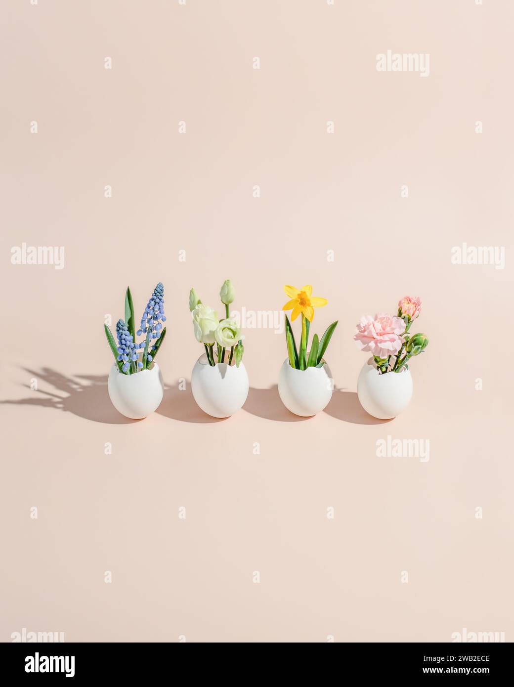 Spring first flowers growth from eggshells. creative minimal concept. Stock Photo