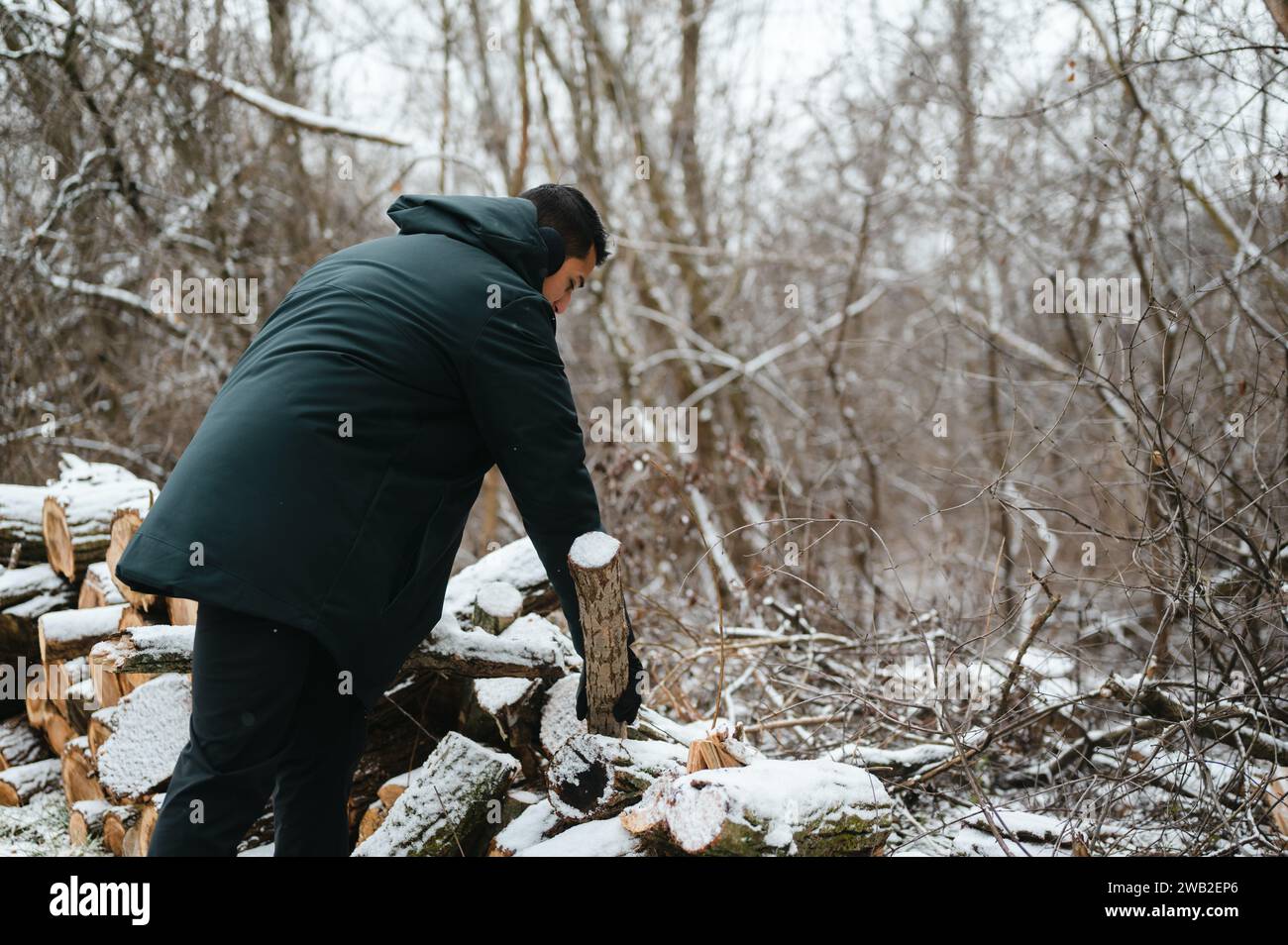 Man in winter attire collecting wood logs and stacking them in snow Stock Photo