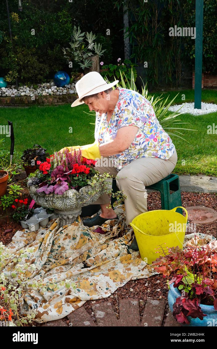 Mature senior woman with arthritis sitting planting spring bulbs into stone garden planter recycled curtain as dustsheet sun hat & gloves England UK Stock Photo