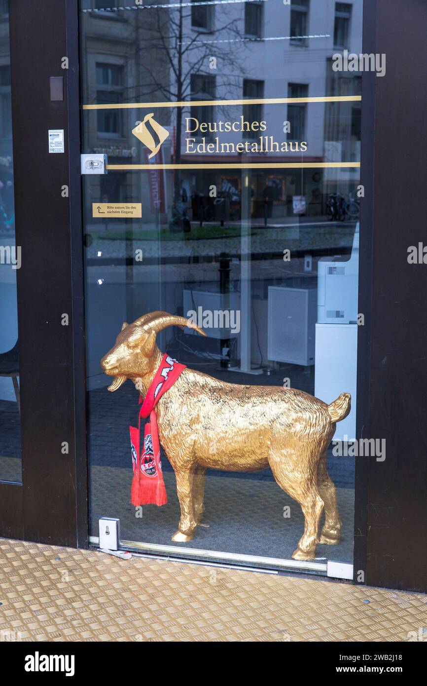 a golden billy goat, the mascot of the football club 1. FC Koeln stands in the entrance of a precious metal dealer in Marzellenstrasse, Koeln, Germany Stock Photo