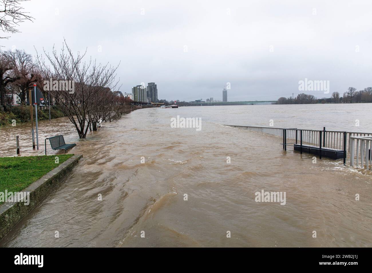 Cologne, Germany, January 6th. 2024, flood of the river Rhine at Konrad-Adenauer-Ufer. Koeln, Deutschland, 6. Januar 2024, Hochwasser des Rheins am Ko Stock Photo