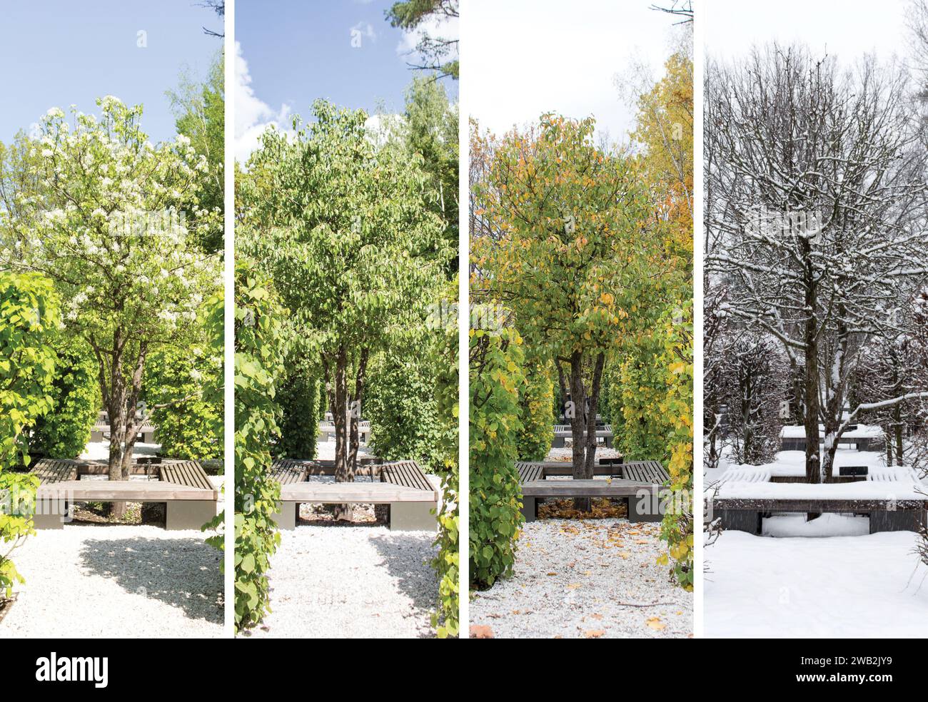 Collage mixing photos of the pear tree, by the lake in four seasons of the year. Stock Photo