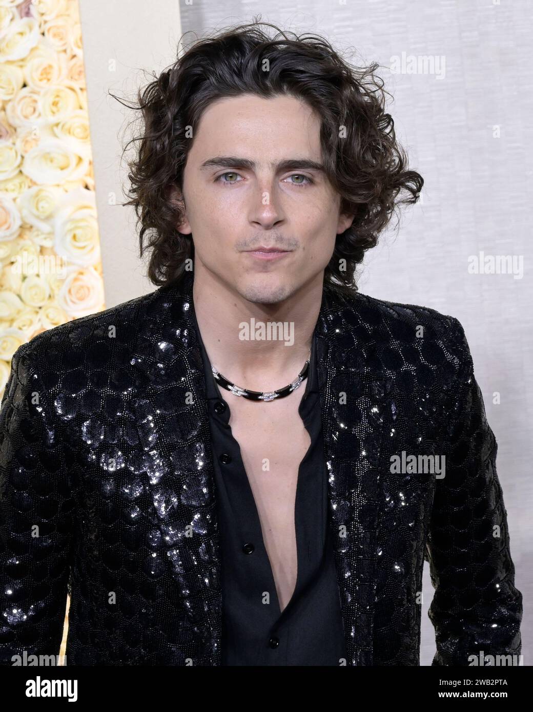 Los Angeles, USA. 07 January 2025 Beverly Hills, California