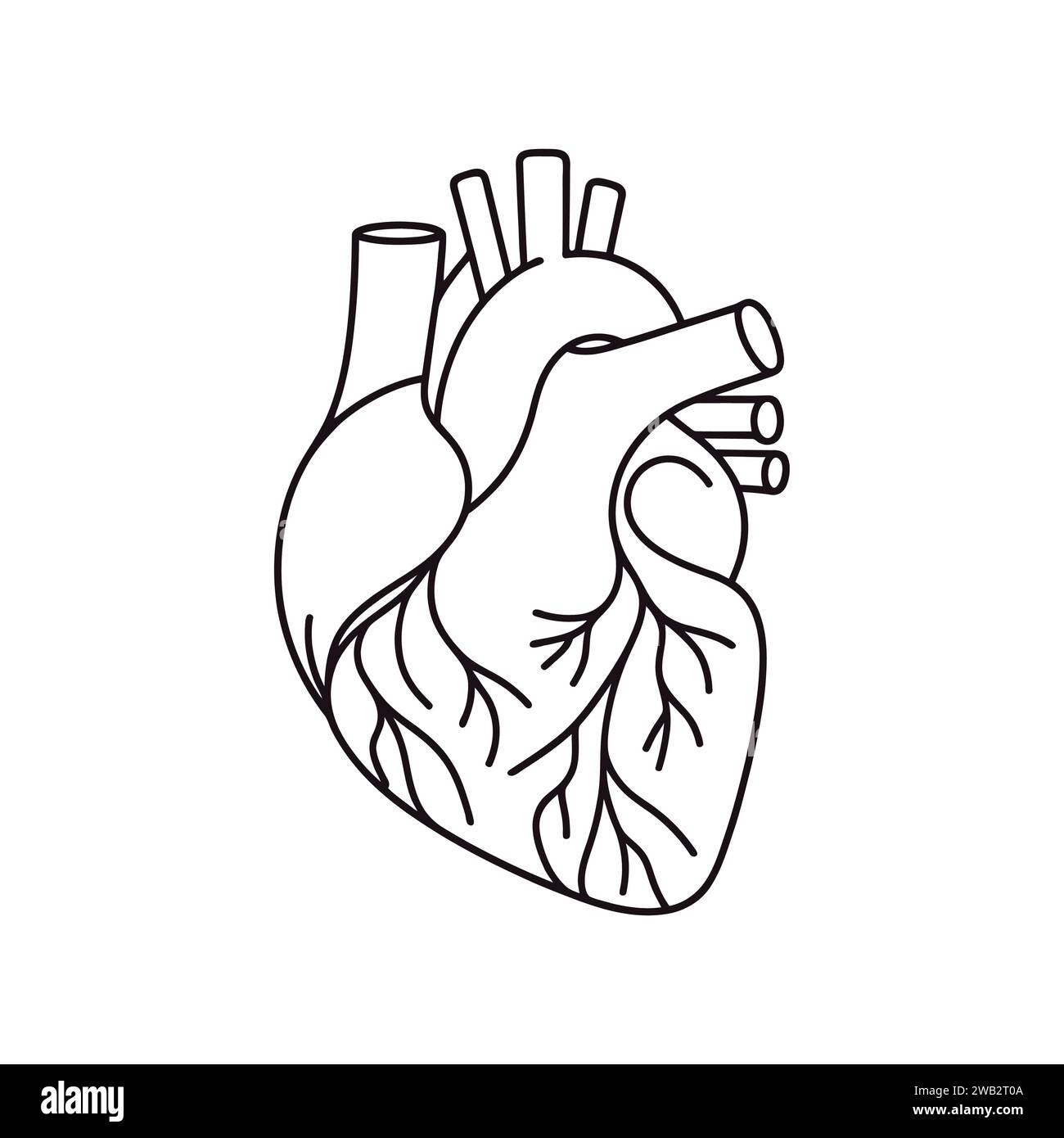 human heart drawn with a line. Vector illustration. Stock Vector