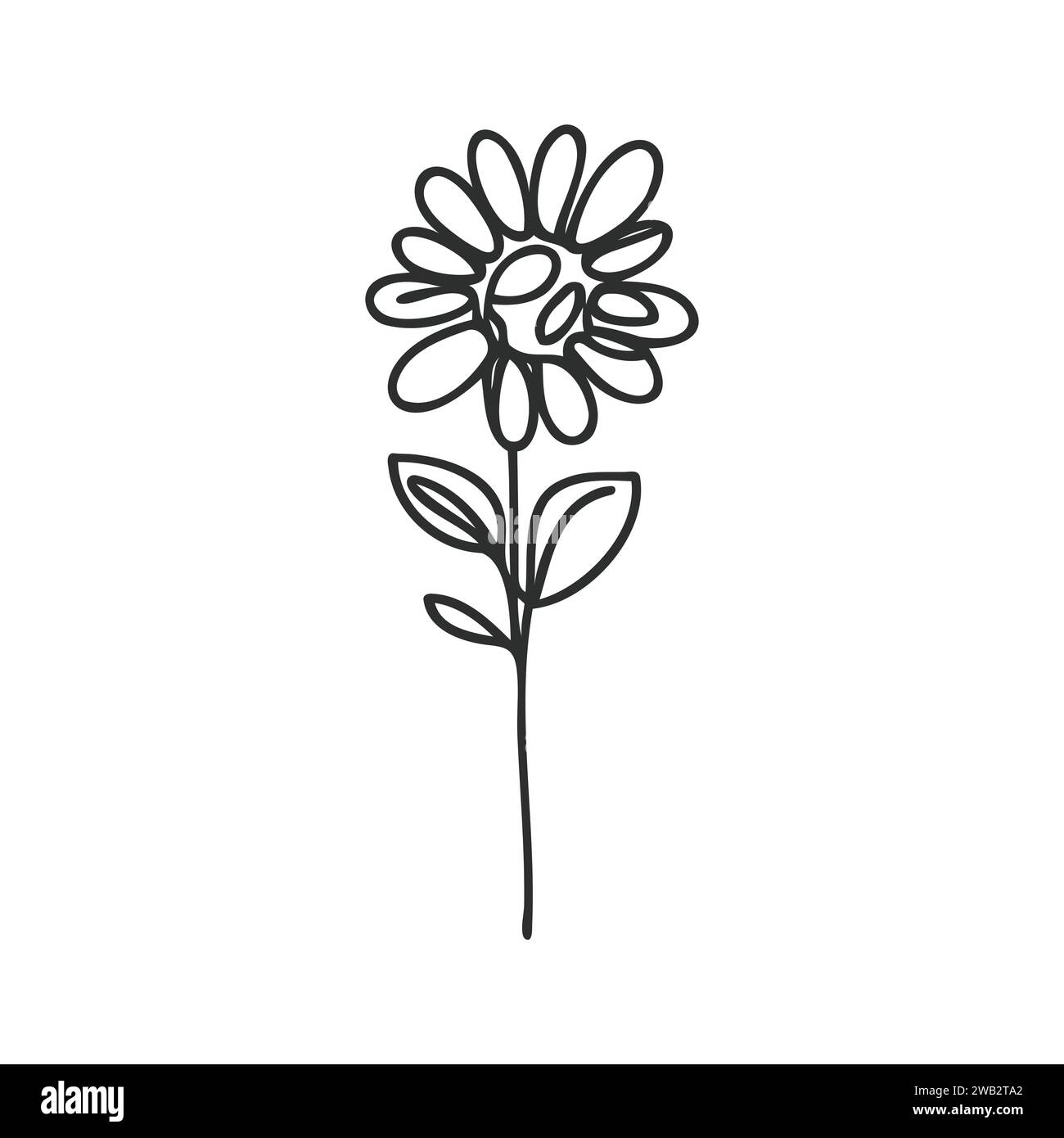 Daisy flower vector vectors hi-res stock photography and images - Alamy