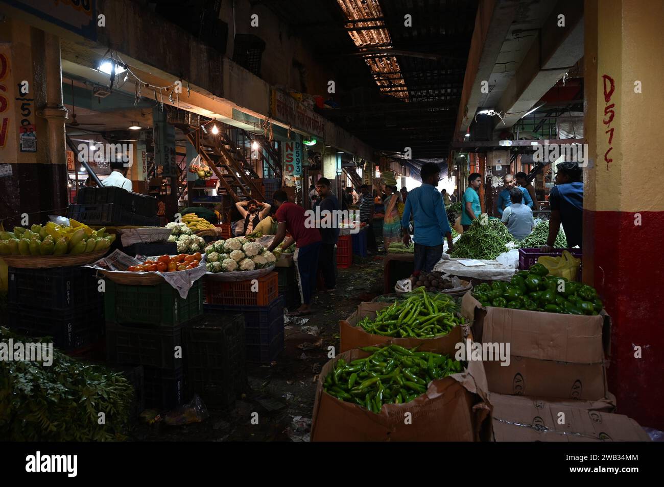 Mumbai, India. 05th Jan, 2024. NAVI MUMBAI, INDIA JANUARY 3 Fewer