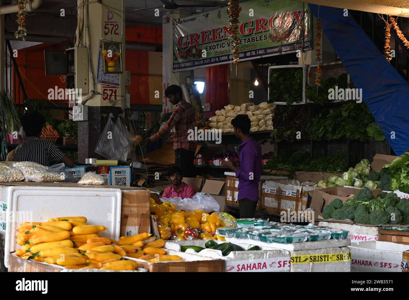 Mumbai, India. 05th Jan, 2024. NAVI MUMBAI, INDIA JANUARY 3 Fewer