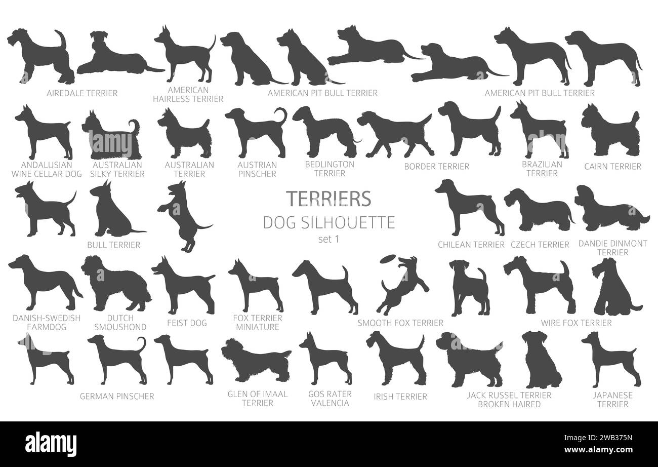 Dog breeds silhouettes, simple style clipart. Hunting dogs, Terrier