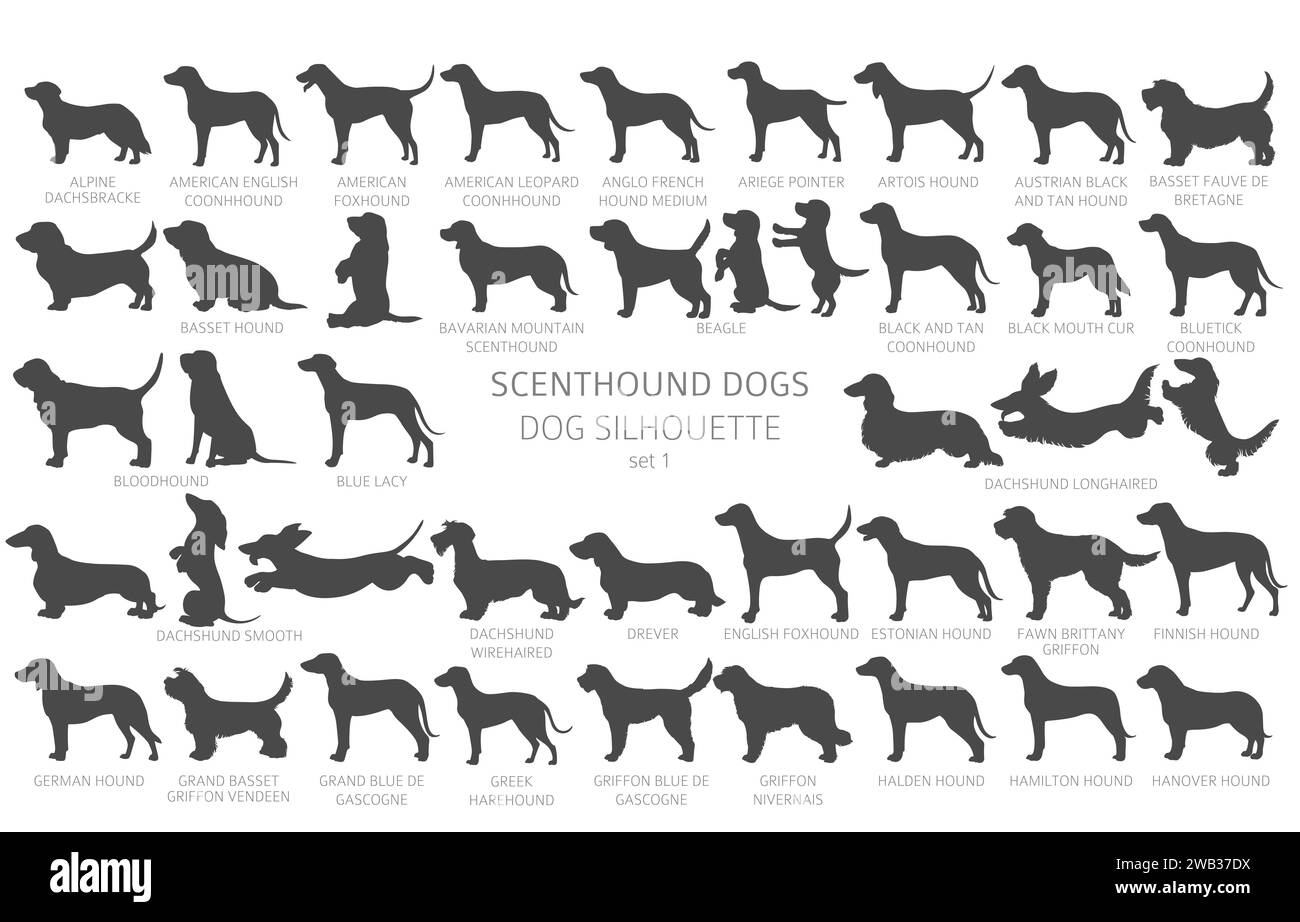 Dog breeds silhouettes with lettering, simple style clipart. Hunting