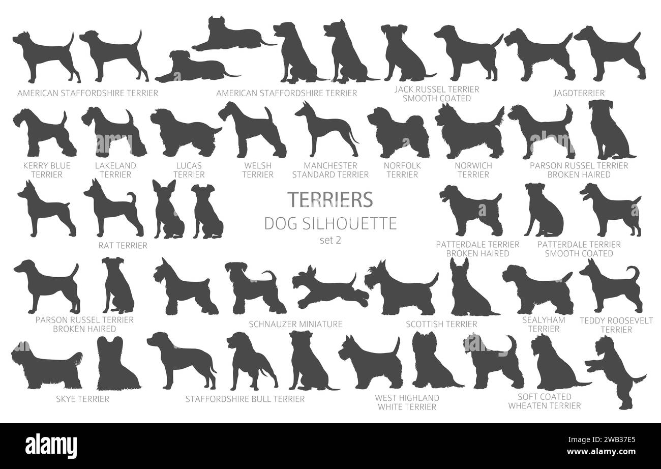 Dog breeds silhouettes, simple style clipart. Hunting dogs, Terrier