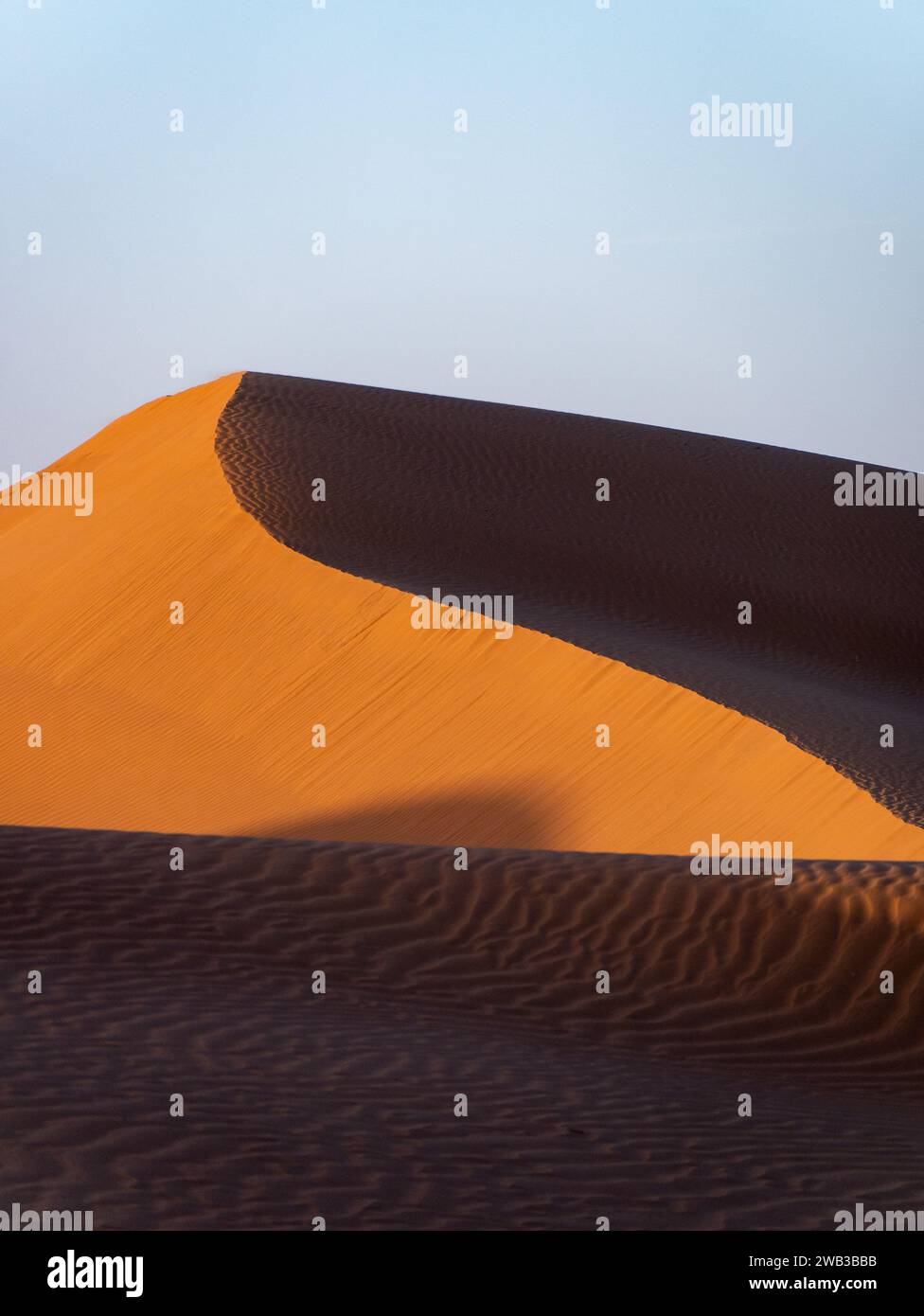 Dunes in Zagora province, Morocco, during sunset - Portrait 3 Stock Photo