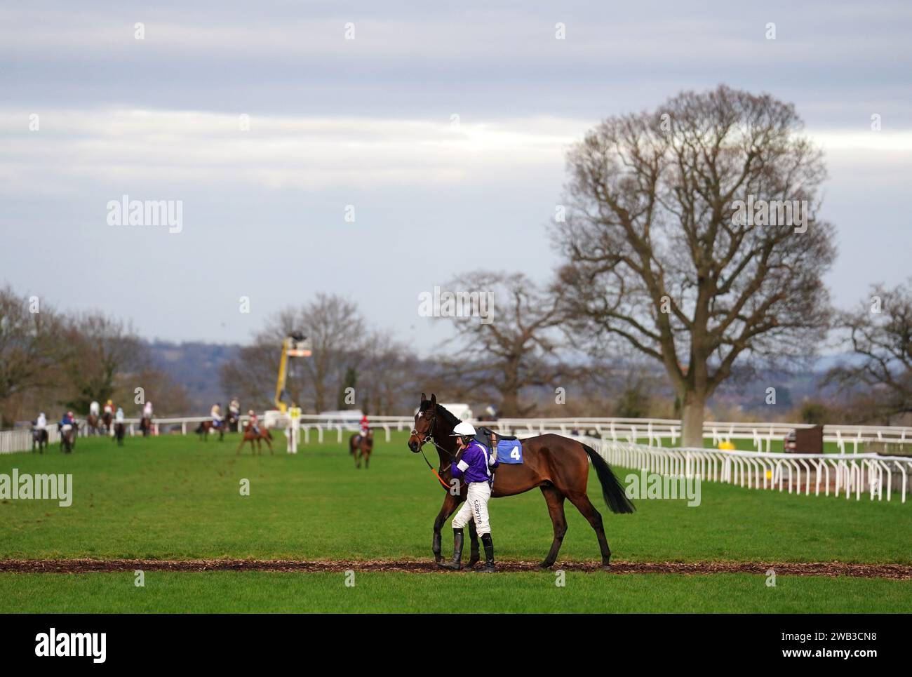 Adam Wedge and The Gypsy Davey make their way back after winning the