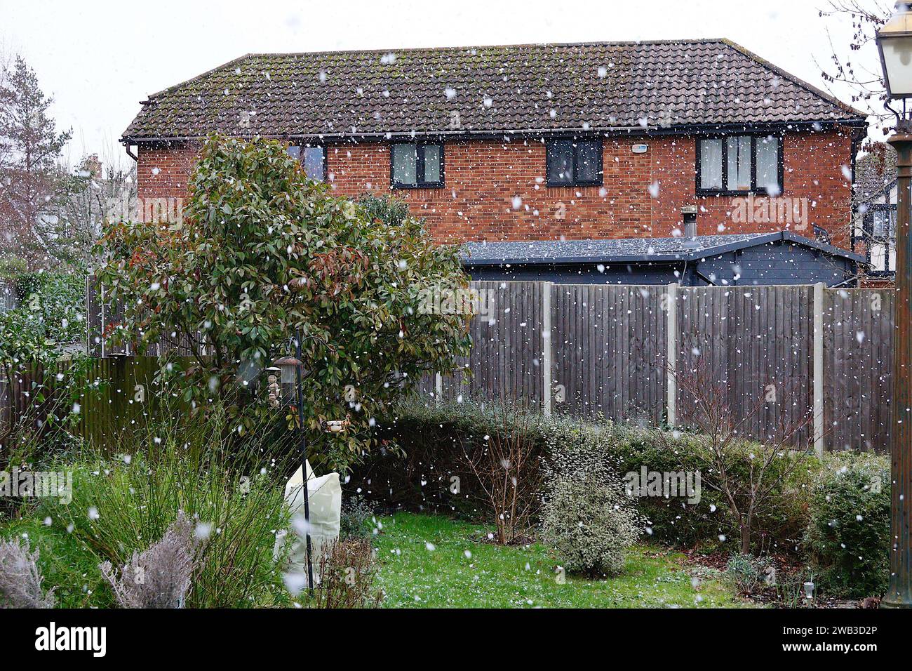 Ashford, Kent, UK. 08 Jan, 2024. UK Weather: A flurry of snow in the Kent countryside this afternoon as the met office issues a yellow weather warning. Photo Credit: News PAL /Alamy Live News Stock Photo