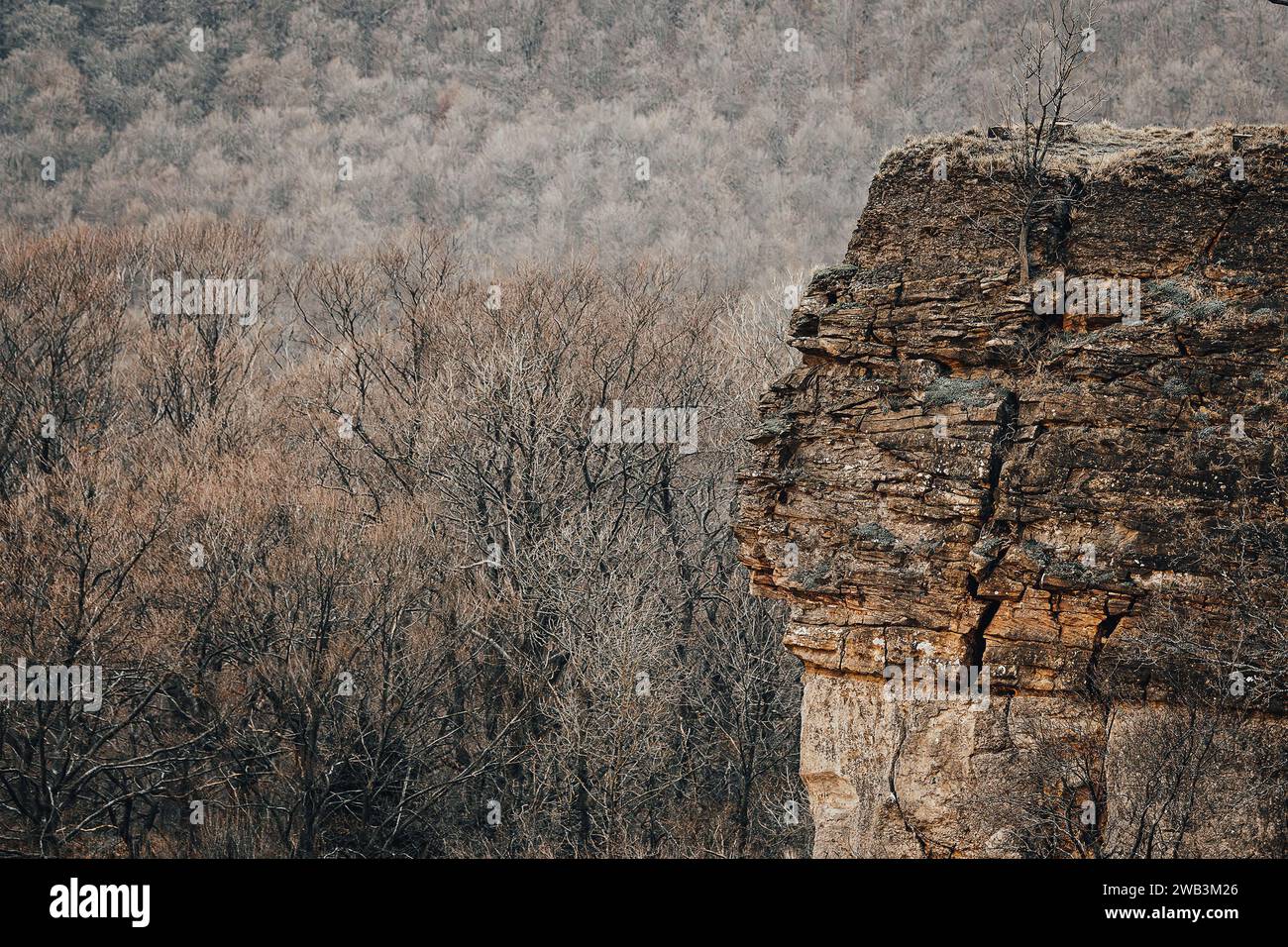 Hessisch Oldendorf, Germany. 31st Dec, 2023. View of the Hohenstein cliffs in the Hohenstein natural forest. The Hohenstein forest area is one of the largest wilderness areas in Lower Saxony. Credit: Swen Pförtner/dpa/Alamy Live News Stock Photo