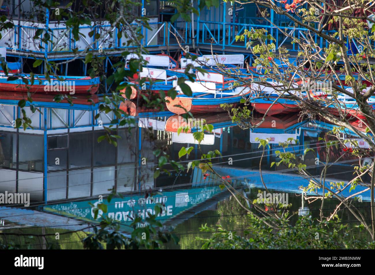 Kodaikanal, Tamil Nadu. India - Dec 16, 2023: Boats stacked together before operation hours at Kodaikanal boat house. Stock Photo